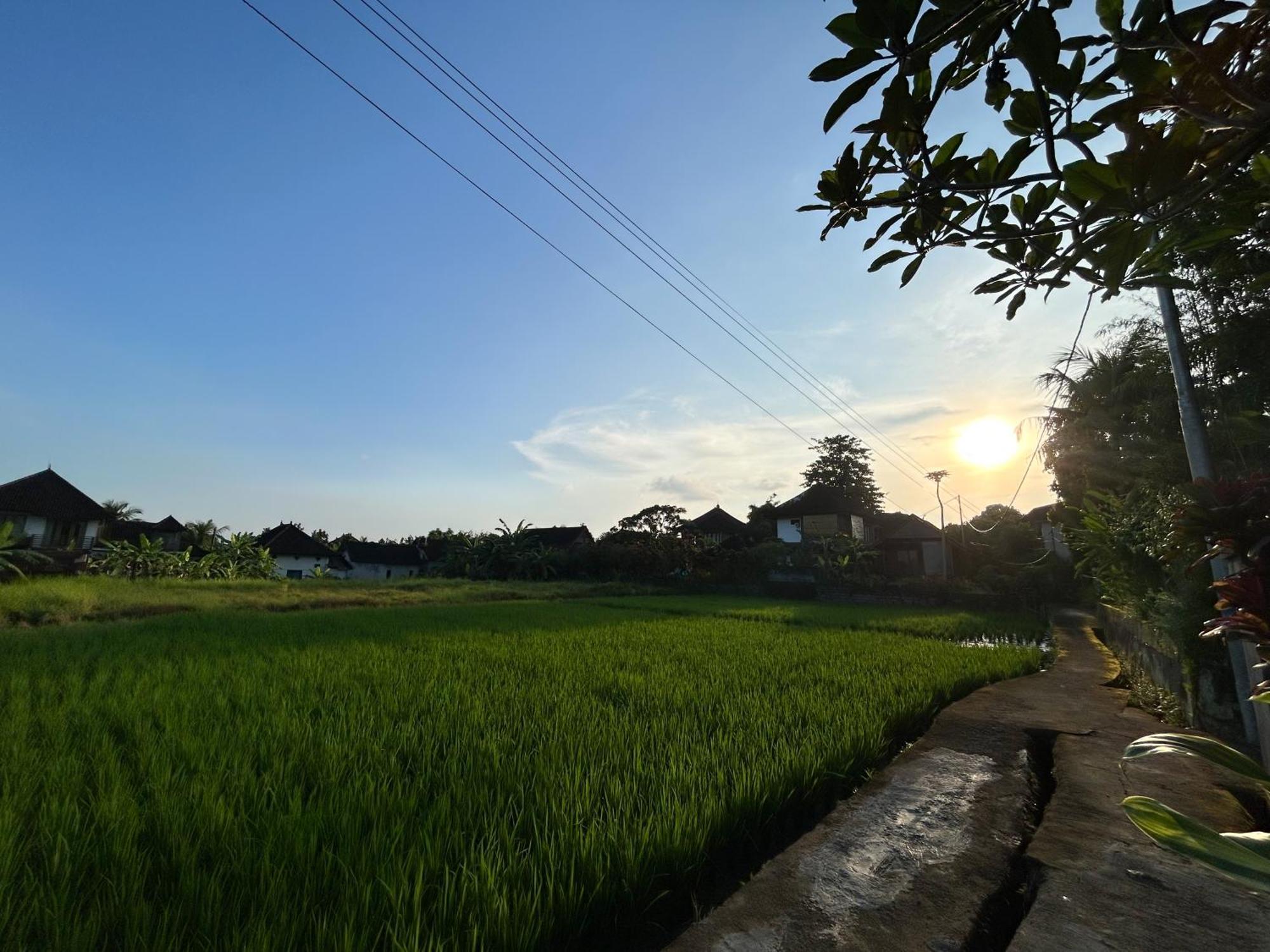 Villa Pondok Edi Ubud  Bagian luar foto